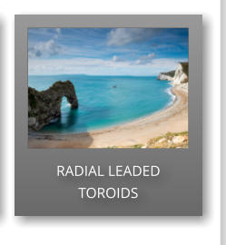 RADIAL LEADED TOROIDS